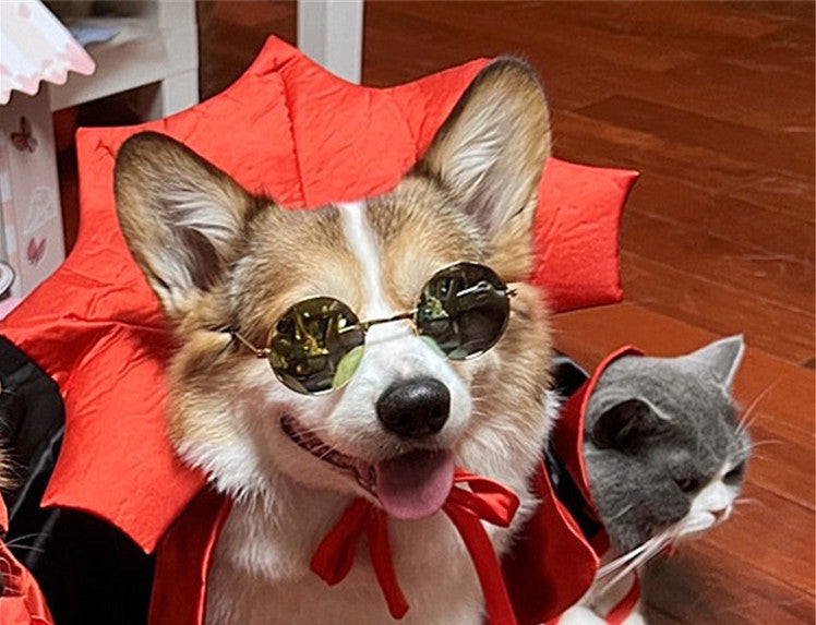 Halloween Pet Vampire Costume