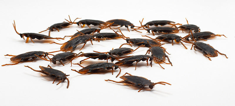 Terrifyingly Real Fake Roaches