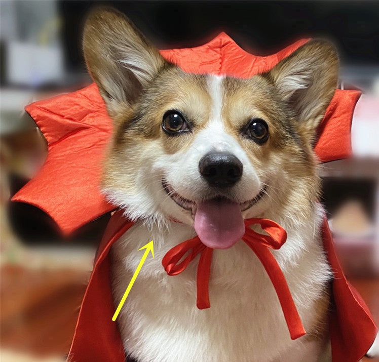 Halloween Pet Vampire Costume