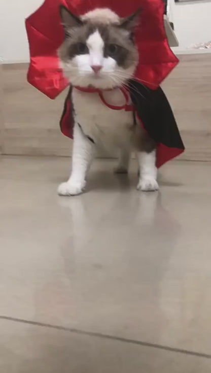Halloween Pet Vampire Costume